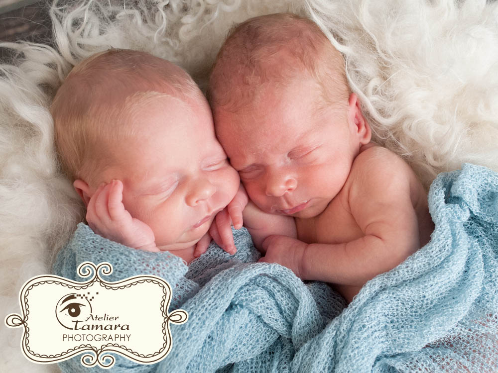Zwillings Neugeborenen Fotoshooting Stuttgart
