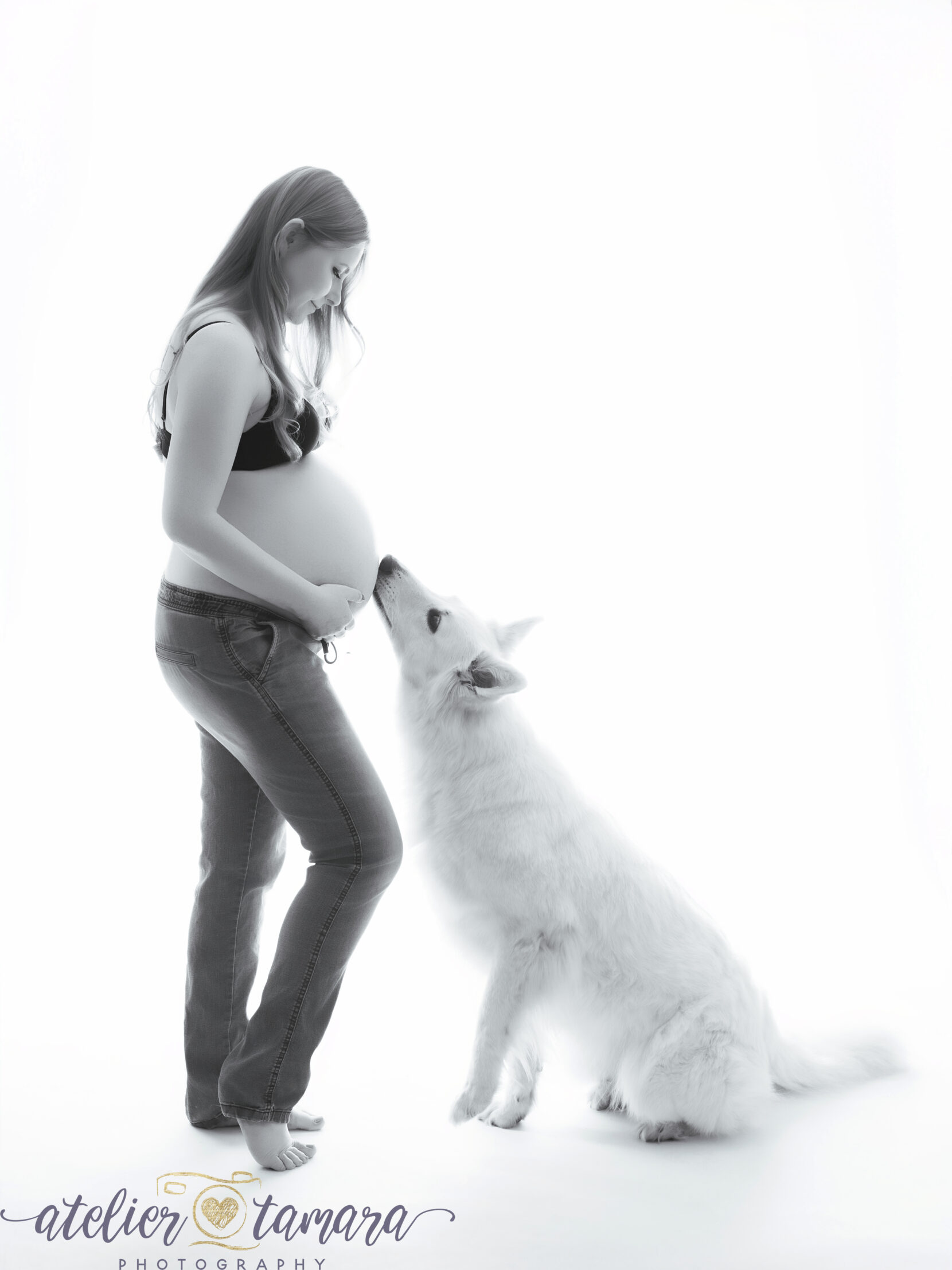 Babybauch Fotoshooting mit Hund