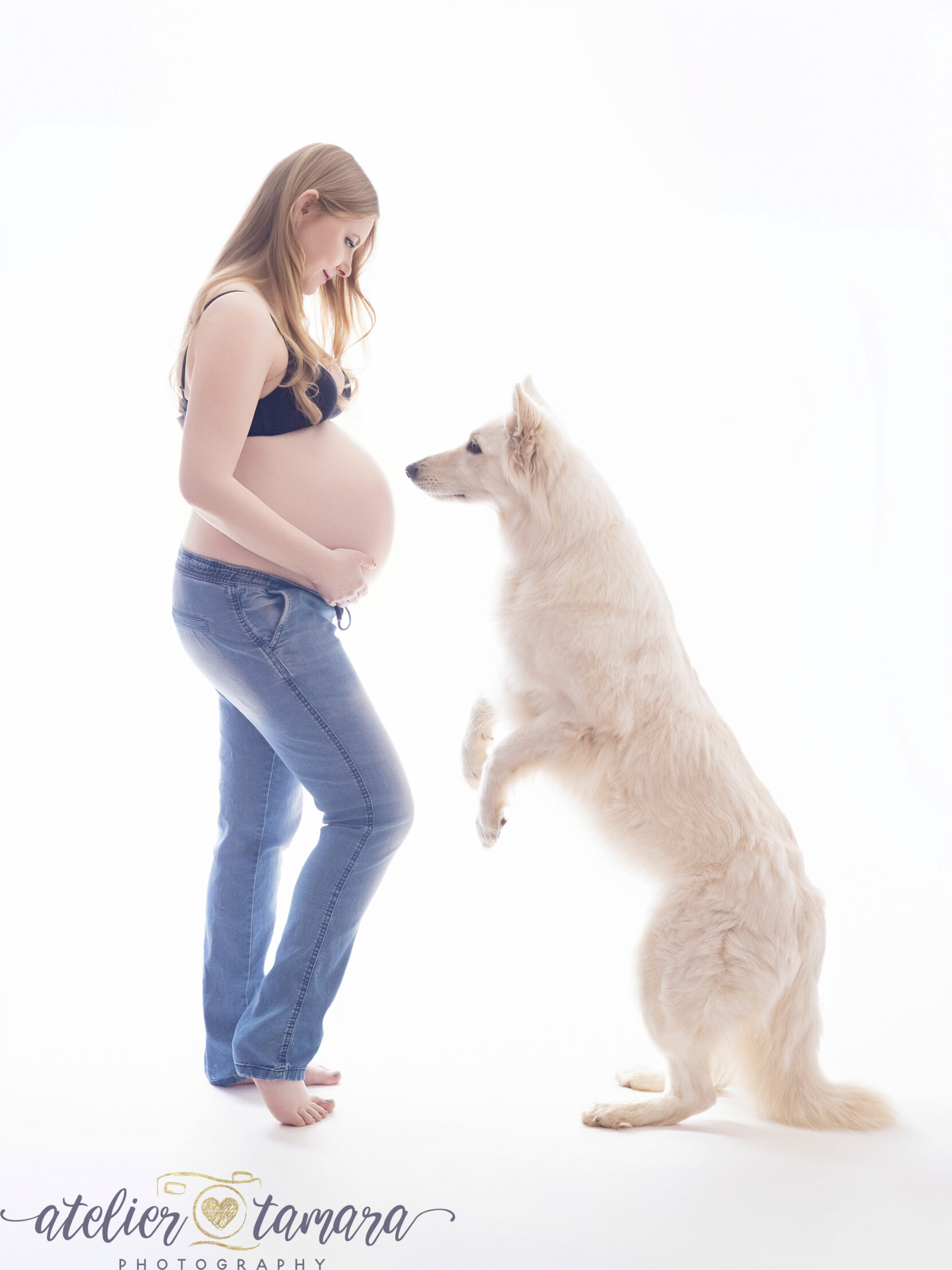 Babybauch Fotoshooting mit Hund